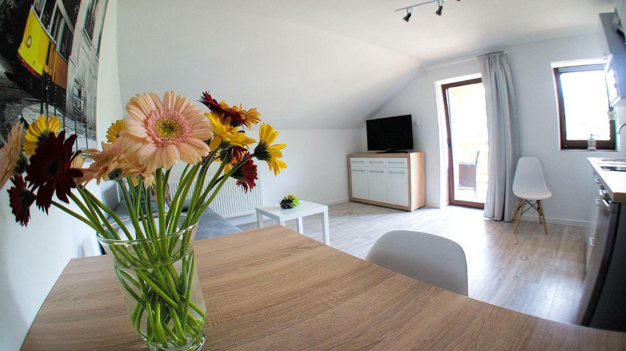 Apartamenty Karkonoskie 卡尔帕奇 外观 照片