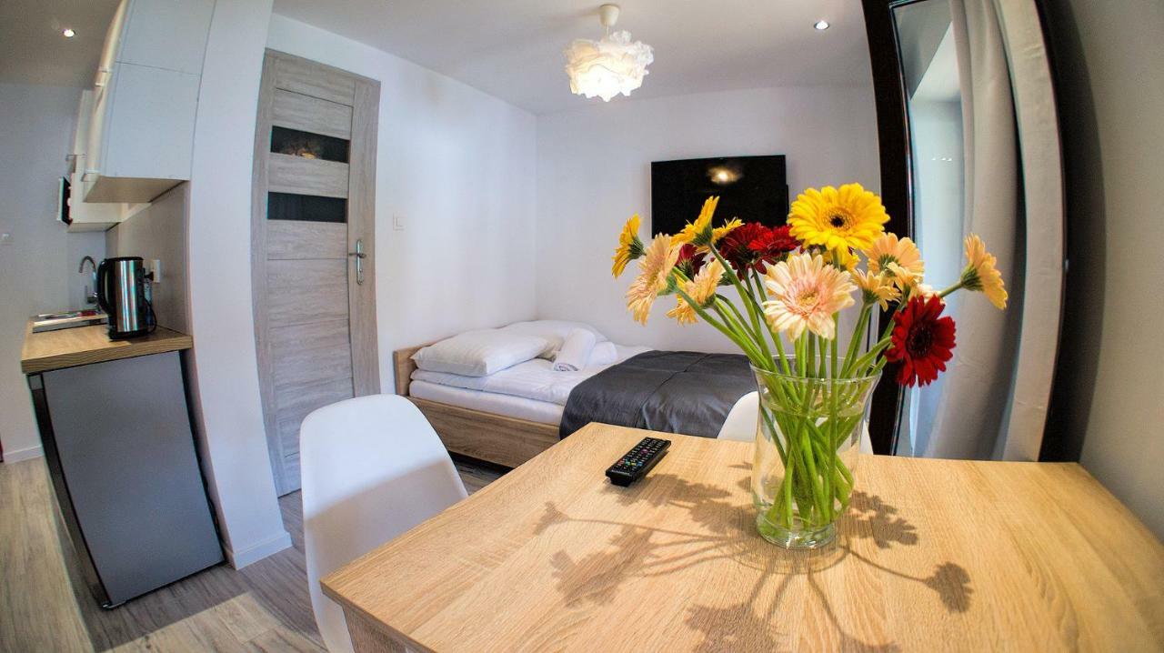 Apartamenty Karkonoskie 卡尔帕奇 外观 照片